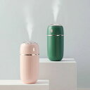 加湿器 小型 300ml 次亜塩素酸水対応 持ち運び エコ 節電 省エネ 卓上 コンパクト 静音 USB 大容量 おしゃれ 超音波加湿器