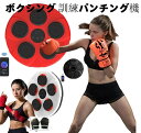 【2025最新型エコボクシングトレーニング】スマートディスプレイ付き音楽ボクシングマシン、子供/大人