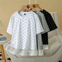 Tシャツ カットソー 半袖 ドット柄 ラウンドネック 切り替え tシャツ Tシャツ 丸首 ドット柄 オシャレ レース 切り替え