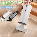 毛 ペットの毛掃除 車用 家庭用 USB充電式 ペット 抜け毛取り 犬猫用 小型 コードレス(2)