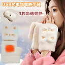 電熱手袋 USB充電式 ヒーター手袋 猫柄 3000mAh 3段温度調整 5.5時間連続使用 液晶画面 指なし カバー付き あった