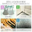 湿気対策 空気清浄機 部屋干し 梅雨 消臭 除菌 衣類乾燥除湿機 パワフル除湿 ハイブリッド式 小型 衣類乾燥