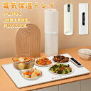 食品用電気保温トレイ 食品保温プレート