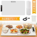 フードウォーマー 多機能食品断熱ボード 電気保温トレイ