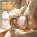 かわいい 電気カイロ 4000mAh 1台2役 電子カイロ モバイルバッテリー USB充電式 電気あんか 2面急速発熱 2段階温度調節 連続加熱