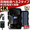 監視 電池式 ワイヤレス トレイルカメラ ソーラー充電 4K高画質セット 256GBmicroSDカード ソーラーパネル 屋外