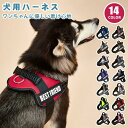ハンドル付き 簡単装着 犬具 脱げない 抜けない おしゃれ かわいい 小型犬 迷子札 胴輪 ネーム 名前 ハーネス 犬 【名入れ可】