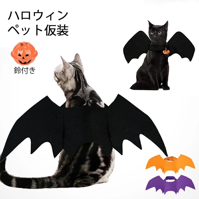    塼 ?դ  襤 ä ǭ   ѿȥå