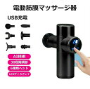 ハンディマッサージャー 筋膜リリース マッサージガン USB充電 電動マッサージ器 30段階調節可能 6種類ヘッド