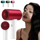 速乾 大風量 マイナスイオン 高級 軽量 静音 1600W 3段階風速 高機能 大風速 人気 業務用 短時間 軽