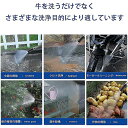 おすすめ DIY 日曜大工 掃除 洗車 業務用 ホース直結 水道蛇口直結 専用ケース付き 21V 洗車機 充電式 コードレス 高圧洗浄機