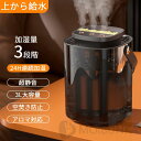 お手入れ簡単 省エネ 静音 空焚き防止 3段階加湿 アロマ 大容量 3L スチーム式 空気清浄 上部給水 卓上 小型 加湿器