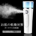 携帯ミスト 顔 スキンケア ハンディーミスト 加湿器 USB充電式 ポータブル加湿器 加湿 お肌の乾燥対策 微粒子ミスト