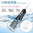 歯垢 歯間ジェット 4つモード 替えヘッド USB充電式 IPX7防水 コードレス口腔洗浄機 携帯 ジェットウォッシャー 口腔洗浄器