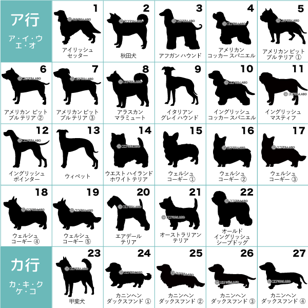 楽天市場 車 ステッカー 多頭 2匹 2頭 ツイン 多頭飼い 多頭飼育 ペット カーステッカー 犬 名前 名前入り オーダーメイド 車用 シルエット リア ガラス 玄関 表札 名入れ オリジナル おしゃれ シンプル かわいい かっこいい ドッグインカー 筆記体 ココマルｌａｂｏ