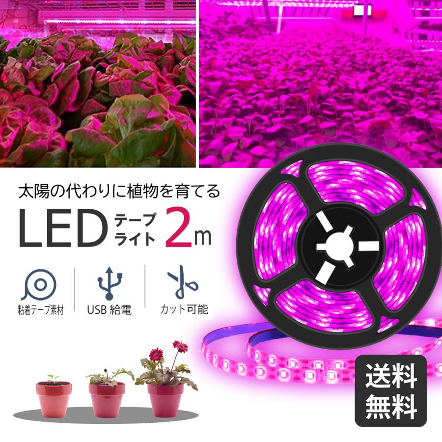 【BLACK FRIDAY特別価格★週末限定クーポン配布!】植物育成ライト LED 2m 植物用 テープライト 秋 冬 植物栽培ライトled 防水 USB対応 ...