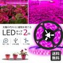【送料無料】植物育成ライト LED 2m 植物用 テープライト 植物栽培ライトled 防水 USB対応 植物育成led グローライト ストリップライト 水耕栽培...