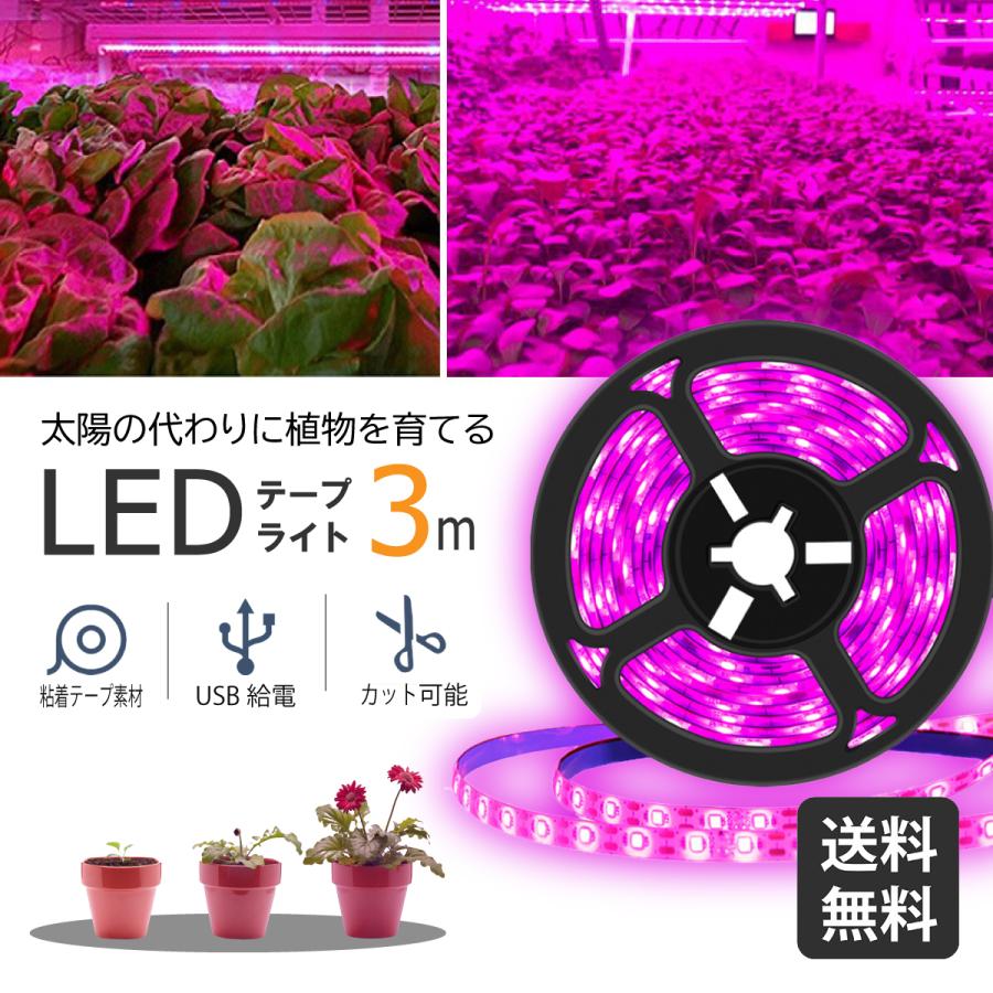 【BLACK FRIDAY特別価格★週末限定クーポン配布!】植物育成ライト LED 3m テープライト 秋 冬 植物用led 防水 USB対応 植物育成led ...
