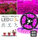【送料無料】植物育成ライト LED 3m テープライト 植物用led 防水 USB対応 植物育成led 植物 ライト 植物成長促進 家庭菜園 室内園芸 水草栽培...