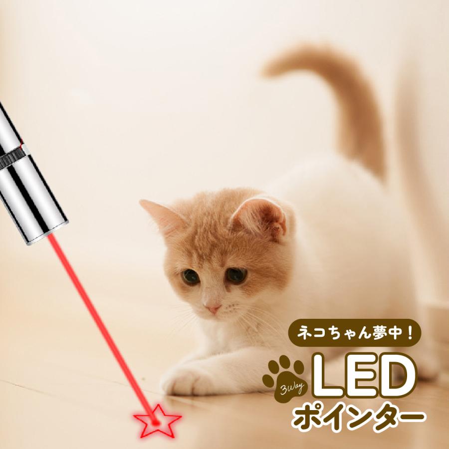 【送料無料】猫 おもちゃ LED ポインター ねこ 玩具 懐中電灯 USB充電式 ねこじゃらし ねこ おもちゃ 動物 ネコ 遊び 運動 猫じゃらし コンパクト 光るおもちゃ LEDポインター ストレス解消 運…