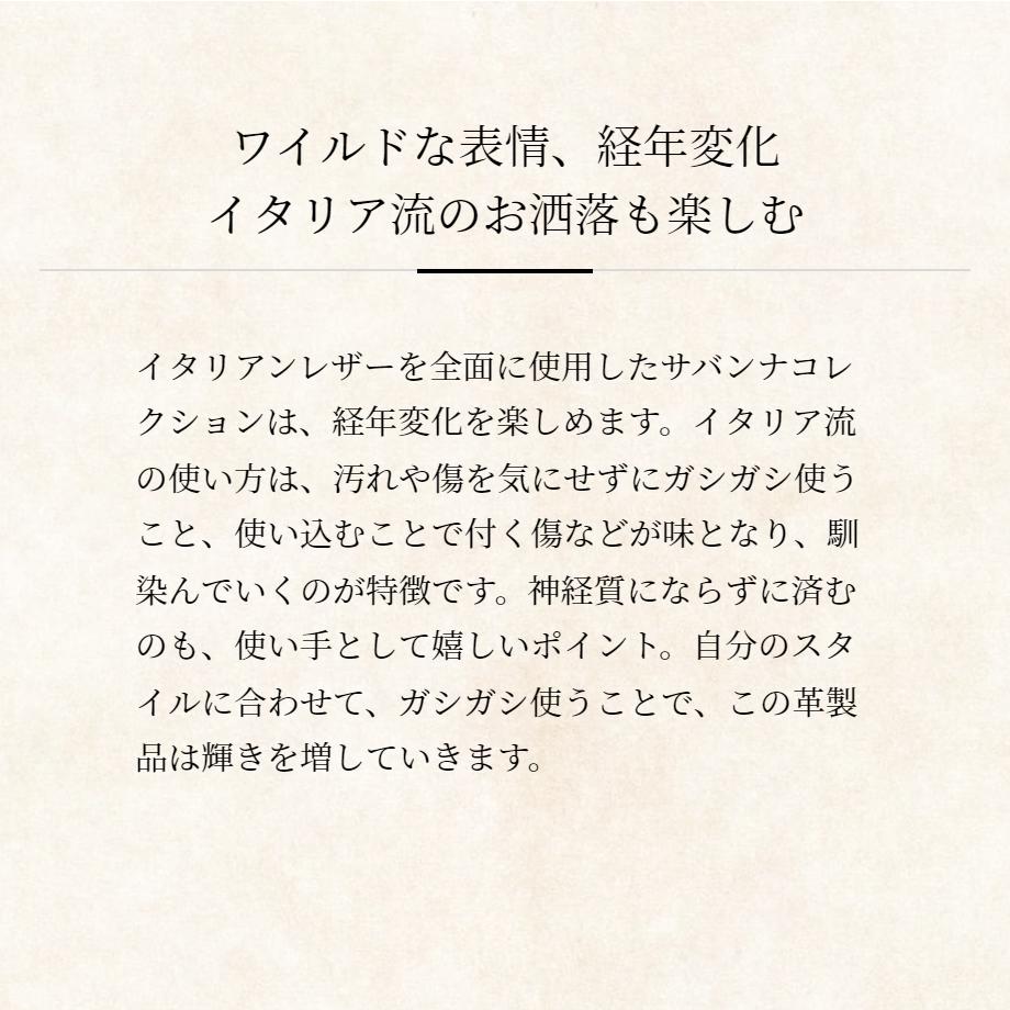 【COCOMEISTER】サバンナ・ペンケース メンズ 革 日本製 ブランド ココマイスター イタリア レザー ステーショナリー ギフト 経年変化