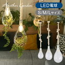 【正規品】アナザーガーデン ボタニックハンギングライト | Sサイズ APE-022 | Mサイズ APE-021 | Lサイズ APE-020WH | BOT...
