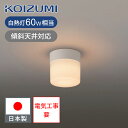 コイズミ照明 LED浴室灯 防雨 防湿型 LEDランプ GX53付属 BW220001B 送料無料 電球色 ココニアル LED 電気 浴室 脱衣所 直付け・壁付...