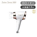 【正規品販売店】サロンセンス300 