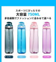 水筒 750ml 大人 ストロー付き 直飲み ストロー スポーツボトル 大容量 フック式ハンドル付き アウトドア 750ml 室内 室外 ストロー式 おしゃれ 学生 車用 2way サイクリング