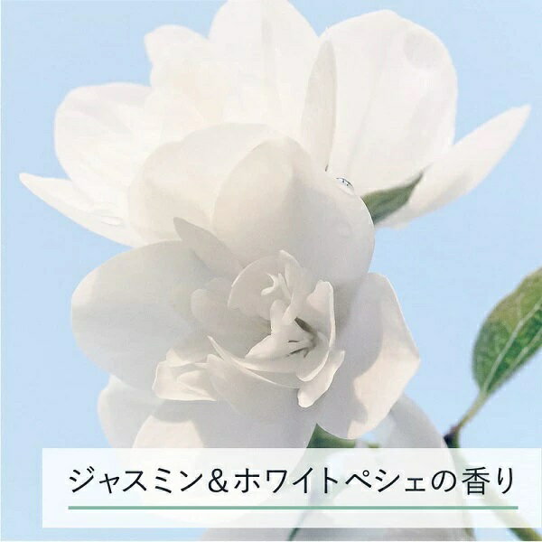 カネボウ　アリィー　クロノビューティ　トーンアップUV　#01 ニュアンスグリーン　SPF50＋・PA＋＋＋＋　60g【定形外郵便可】 3個以上は宅配便発送※お取り寄せ商品　キャンセル不可メーカー欠品になる場合がございます。