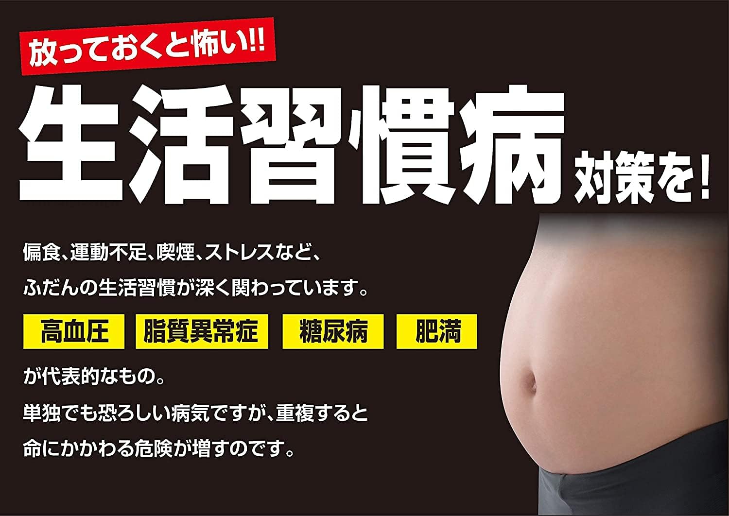 【第2類医薬品】ナイシトールGa 336錠