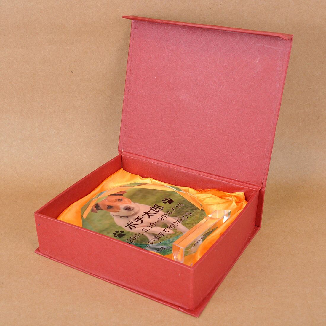 Pet&Love. �ڥåȤΤ��� ���饹�� �����ͤΥڥåȼ̿���� ���������ᥤ�� ��å������ѹ���ǽ ������1��M���������⤵14cm�����Υ��顼�ǥ����� ��HLS_DU�ۡ�RCP�ۡڳڥ���_�����ۡڳڥ���_̾����� attr56attr ctgr2ctgr sml3sml+ctgr2ctgr noanml