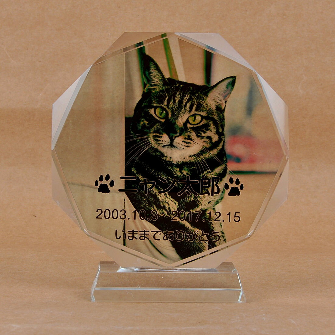 Pet&Love. ڥåȤΤ 饹 ͤΥڥåȼ̿ ᥤ åѹǽ 1L⤵17cm...