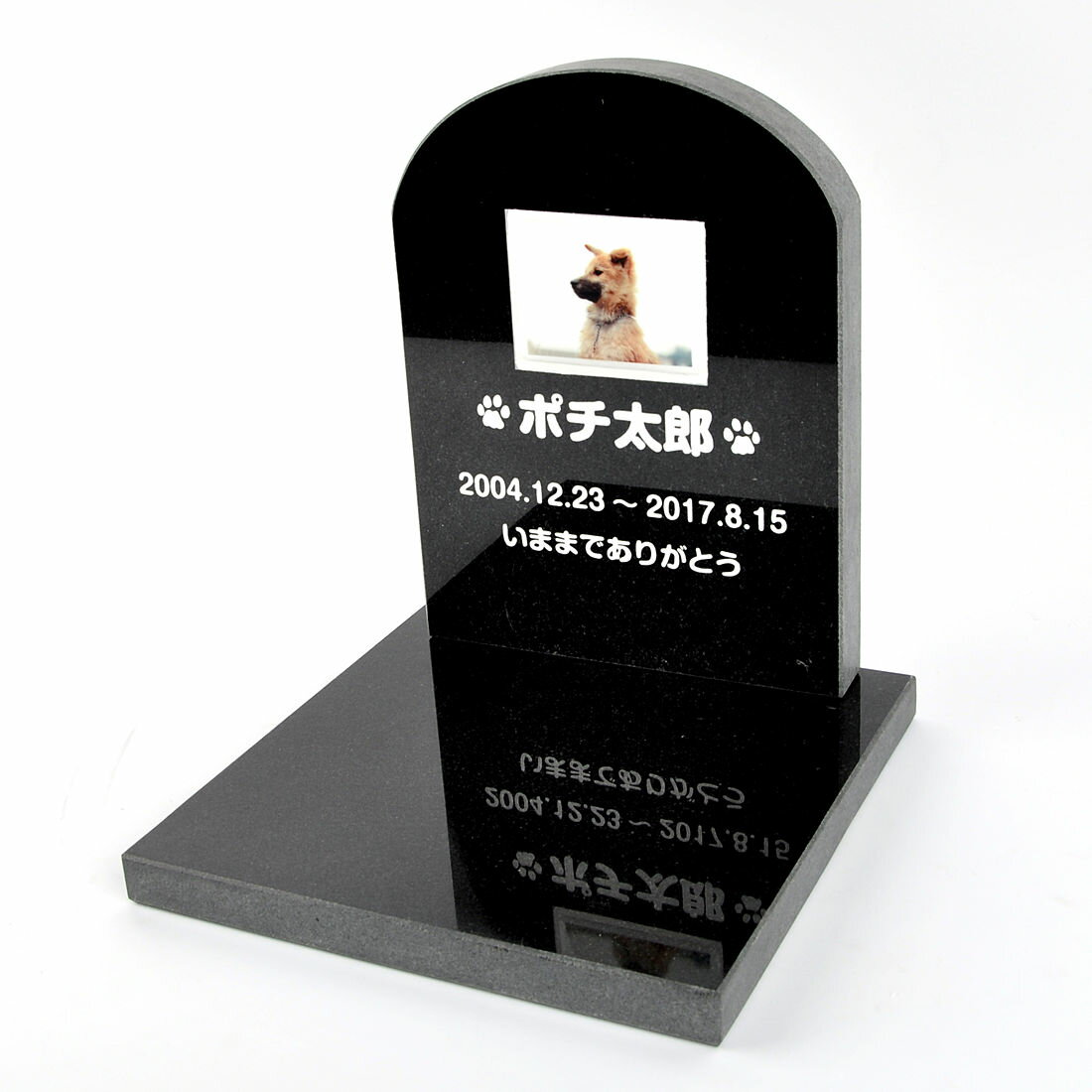 Pet&Love. �ڥåȤΤ��� ŷ������ ���åȷ� ����դ������� ����С��֥�å� ����������ɡʤ����ͤμ̿�������� ��HLS_DU�ۡ�RCP�ۡڳڥ���_�����ۡڳڥ���_̾����� attr169attr ctgr2ctgr sml3sml+ctgr2ctgr noanml