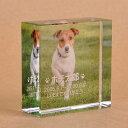 Pet&Love. ペットのお墓 ガラス製 お客様のペット写真刻印 オーダーメイド メッセージ変更可能 据え置き型 小型 50x50x20mm 全体カラー 【H...