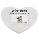 Pet&Love. ybĝ VRΐ Vv^ et^Cv 嗝΁@zCg@n[g 180x160mm(20mm) iql̎ʐ^j yHLS_DUzyRCPzyyMt_zyyMt_z attr168attr ctgr2ctgr sml3sml+ctgr2ctgr noanml