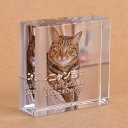 Pet&Love. ペットのお墓 ガラス製 お客様のペット写真刻印 オーダーメイド メッセージ変更可能 据え置き型 小型 50x50x20mm 全体カラー 猫モ...