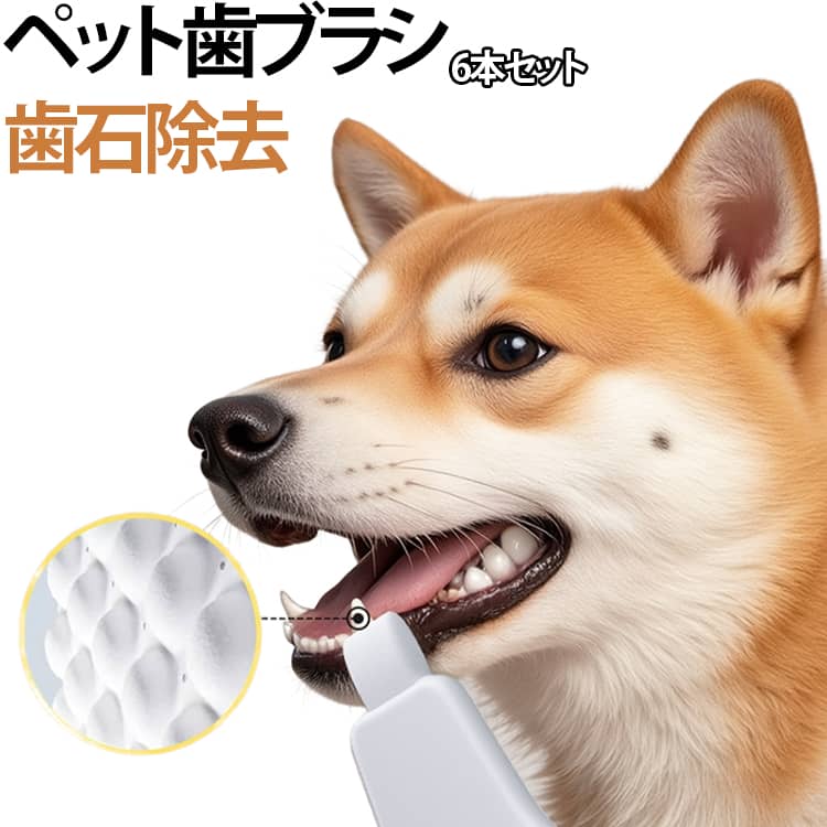 水に濡らしてこするだけ。ワンちゃん・ネコちゃんの歯垢や黄ばみをやさしくケアできるペット用歯磨きクリーナーです。特殊なナノフォームが歯の汚れをやさしく絡め取り、歯垢や黄ばみを物理的に除去。研磨剤不使用で、歯を傷つけにくい設計です。犬・猫どちらにも使えるので、多頭飼いにも便利。スポンジを水に濡らして歯を軽くこするだけ。歯磨きが苦手なペットにも使いやすい簡単仕様です。歯垢や汚れを落とすことで、気になる口臭ケアにも役立ちます。先端形状で奥歯や細かい部分にも届きやすく、歯の表面・裏側までしっかりケアできます。 サイズ 6本セット サイズについての説明 17*11cm ※商品のサイズは手作業で測定させて頂いておりますので、若干の誤差があります。 素材 ナノフォーム 色 白 備考 ●サイズ詳細等の測り方はスタッフ間で統一、徹底はしておりますが、実寸は商品によって若干の誤差(1cm～3cm )がある場合がございますので、予めご了承ください。 ●製造ロットにより、細部形状の違いや、同色でも色味に多少の誤差が生じます。 ●パッケージは改良のため予告なく仕様を変更する場合があります。 ▼商品の色は、撮影時の光や、お客様のモニターの色具合などにより、実際の商品と異なる場合がございます。あらかじめ、ご了承ください。 ▼生地の特性上、やや匂いが強く感じられるものもございます。数日のご使用や陰干しなどで気になる匂いはほとんど感じられなくなります。 ▼同じ商品でも生産時期により形やサイズ、カラーに多少の誤差が生じる場合もございます。 ▼他店舗でも在庫を共有して販売をしている為、受注後欠品となる場合もございます。予め、ご了承お願い申し上げます。 ▼出荷前に全て検品を行っておりますが、万が一商品に不具合があった場合は、お問い合わせフォームまたはメールよりご連絡頂けます様お願い申し上げます。速やかに対応致しますのでご安心ください。