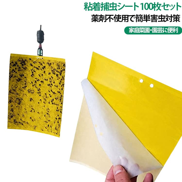 畑や植物周りにこの虫取りシートを置くだけで簡単に捕獲できる虫よけシートです。大容量の100枚セットなので、農家の方々にもおすすめです。無農薬野菜、無農薬栽培をされている方にも。一度虫が粘着に貼りついたら逃げ出すことはできない防虫トラップです。ビニールハウスの中に吊るすだけでらくらく害虫を捕獲することができます。農業分野だけでなく、家庭、キッチン、浴室などの室内環境でも使用することができます。 サイズ 100枚入り サイズについての説明 サイズ：15x10cm※寸法は平置きにて計測し、若干の誤差がある場合がございます。 素材 プラスチック 色 結束線付きイエロー 結束線付きブルー 備考 ●サイズ詳細等の測り方はスタッフ間で統一、徹底はしておりますが、実寸は商品によって若干の誤差(1cm～3cm )がある場合がございますので、予めご了承ください。 ●製造ロットにより、細部形状の違いや、同色でも色味に多少の誤差が生じます。 ●パッケージは改良のため予告なく仕様を変更する場合があります。 ▼商品の色は、撮影時の光や、お客様のモニターの色具合などにより、実際の商品と異なる場合がございます。あらかじめ、ご了承ください。 ▼生地の特性上、やや匂いが強く感じられるものもございます。数日のご使用や陰干しなどで気になる匂いはほとんど感じられなくなります。 ▼同じ商品でも生産時期により形やサイズ、カラーに多少の誤差が生じる場合もございます。 ▼他店舗でも在庫を共有して販売をしている為、受注後欠品となる場合もございます。予め、ご了承お願い申し上げます。 ▼出荷前に全て検品を行っておりますが、万が一商品に不具合があった場合は、お問い合わせフォームまたはメールよりご連絡頂けます様お願い申し上げます。速やかに対応致しますのでご安心ください。