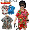 アロハシャツ セットアップ キッズ アロハシャツ 2点セット ベビー服 男児 女児 可愛い 子ども 女の子 男の子 上下セット シャツ ショートパンツ 半袖シャツ ジュニア 春夏 リゾート 海 ビーチ 旅行