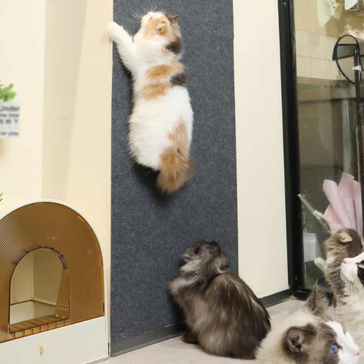 爪とぎシート 猫 大判 壁 粘着式 猫用 ねこ...の紹介画像2