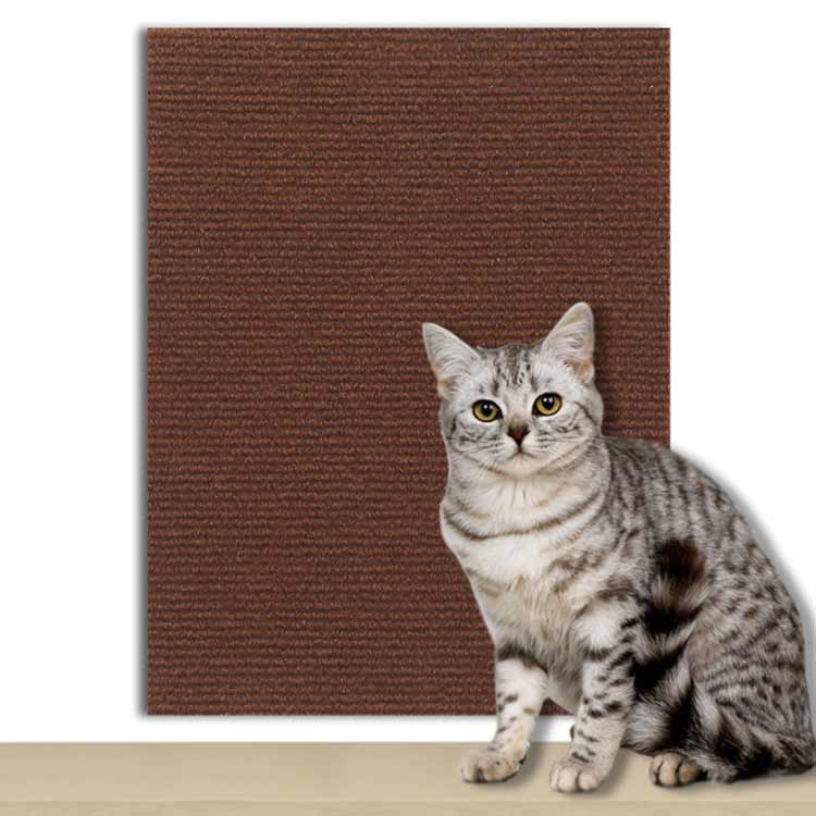 �ޤȤ������� ǭ ��Ƚ �� Ǵ�弰 ǭ�� �ͤ� �Ĥ�Ȥ� ���ե����� �ͥ� ���ե��� �ޤȤ��ޥå� ǭ���ޤȤ��ޥå� ǭ�޸��� �������� �ɤ�Ž�� ���ȥ쥹��� ���ե���/��/�ȶ�/�ɻ��ݸ���� ǭ���� ���ɻ� Ž���դ��ơ����դ� ��ͳ�˥��åȤǤ���