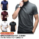 ハイネック メンズ 半袖 tシャツ カットソー 2枚セット ゴルフウェア ゴルフ 無地 モックネック 春 夏 ティーシャツ ボトルネック トップス インナー モ...