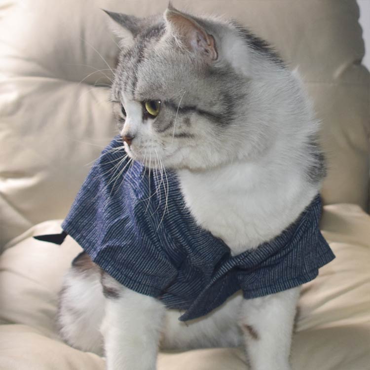 ペット服 犬 猫 ペット 浴衣 ねこ ネコ 犬 ゆかた オシャレ 男の子 着物 甚平 ペッ...