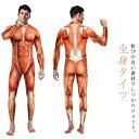 全身タイツ 衣装 コスチューム 筋肉 人体模型 人体 模型 筋肉模型 ハロウィン コスプレ 大人 メンズ 3D プリント