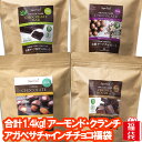 チョコレート福袋 合計1.1kg 無添加ヘルシーチョコレート4種類 アーモンドチョコ 有機JASオーガニック クランチチョコレート アガベチョコレート チョコ袋