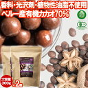 有機サチャインチ チョコレート カカオ70% 300g 2個 JASオーガニック ペルー産 サチャインチチョコ チョコボール グリーンナッツチョコレート インカインチチョコレート 乳化剤添加物不使用