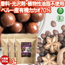 有機サチャインチ チョコレート カカオ70% 300g 3個 JASオーガニック ペルー産 サチャインチチョコ チョコボール グリーンナッツチョコレート インカインチチョコレート 乳化剤添加物不使用