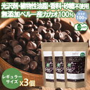 【レギュラーサイズ】有機カカオ100% チョコチップ 75g 3袋 クーベルチュール ペルー産 有機JASオーガニック チョコレート チョコレートチップ