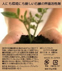 ココナッツシュガー石鹸1個有機スーパーフードをまること使った無添加オーガニック生せっけん80gココナッツ石鹸ココナッツせっけんココナッツシュガーソープ